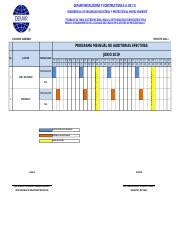 Programa De Auditorias Efectivas Junio 2019 Xlsx DEMAR INSTALADORA Y