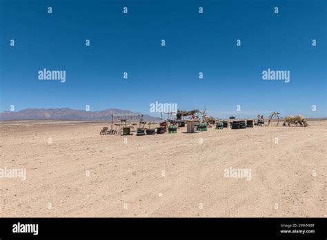 Namibia Market Hi Res Stock Photography And Images Alamy