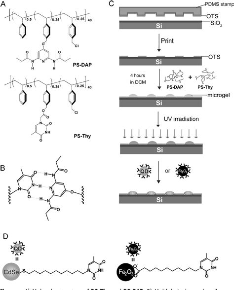 Figure 1 From Fabrication And Functionalization Of Supramolecular Microgel Arrays Through