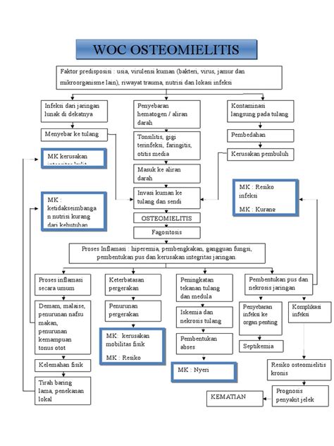 Woc Osteomielitis Fix Pdf