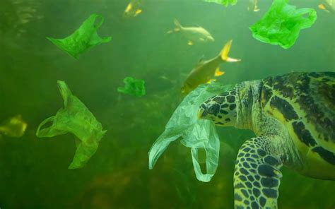 G20 Un Accord Pour Lutter Contre La Pollution Plastique En Mer