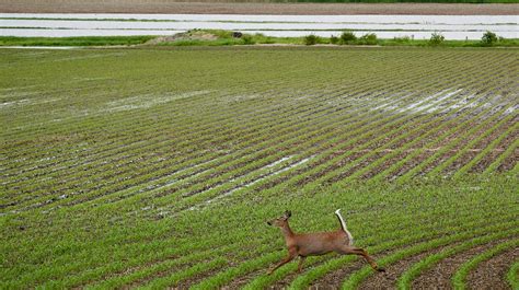 South Dakota Farmers Face Slowest Start To Planting In Decades