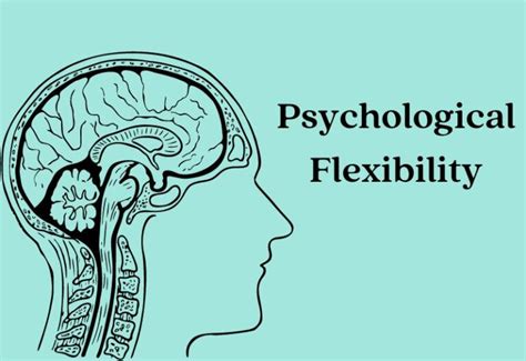 What Is Psychological Flexibility And Ways To Develop It Beyondpsychub