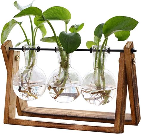 Plant Terrarium With Wooden Stand Air Planter Bulb Glass Vase Metal Swivel Holder Retro