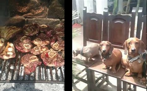 En Argentina Arman Asado Junto A Perritos Y Se Vuelve Viral Grupo Milenio