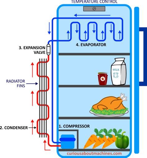 How Does A Refrigerator Work Curious About Machines