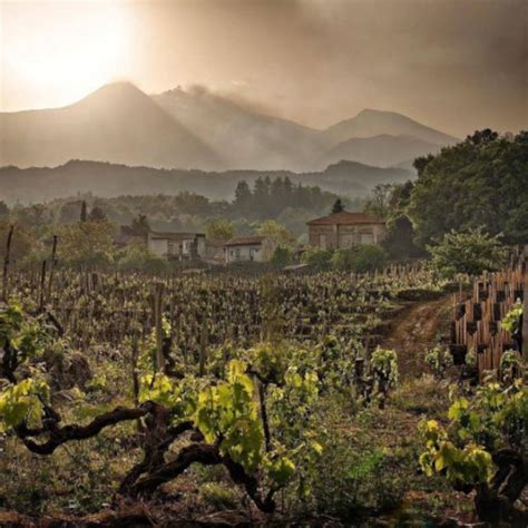 ViniMilo la più antica manifestazione dedicata ai vini dell Etna