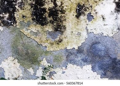 Dirty Wall Background Stock Photo 560367814 | Shutterstock