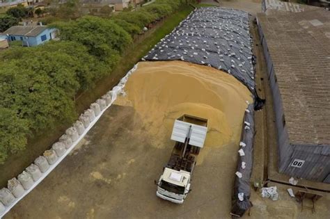 Armazenagem de grãos tudo sobre silos