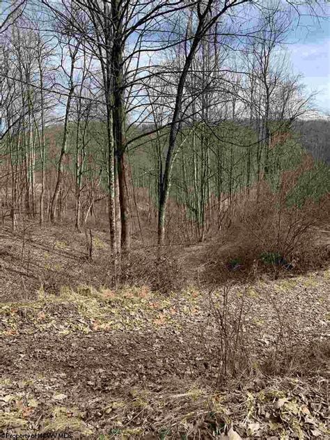 28 13 Acres In Taylor County West Virginia