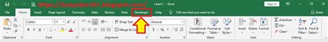 Cara Menampilkan Menu Tab Developer Di Excel 2019