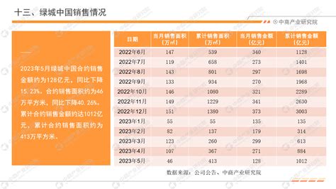 2023年5月中国房地产行业经济运行月度报告（完整版） 中商情报网