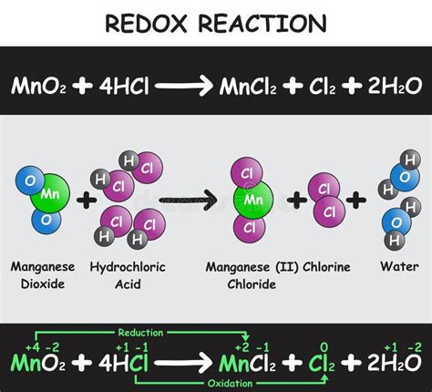 Redox Reaction Infographic Diagram Stock Vector Illustration Of