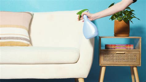 How To Clean Down Sofa Cushions Baci Living Room