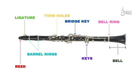 What Are The Different Clarinet Parts Orchestra Central