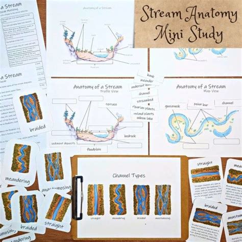 River Channel Types Straight Meandering Braided Anastomosing En 2024