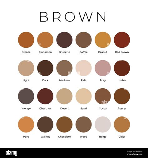 Shades of brown color samples Stock Vector Images - Alamy