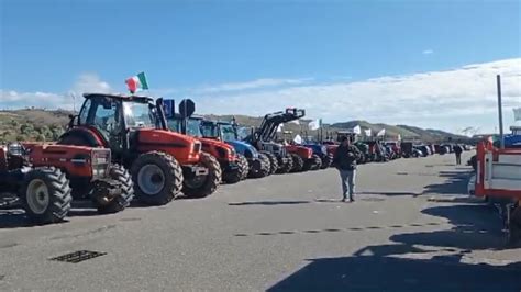 Protesta Degli Agricoltori In Calabria Sbloccati Gli Ingressi Alla