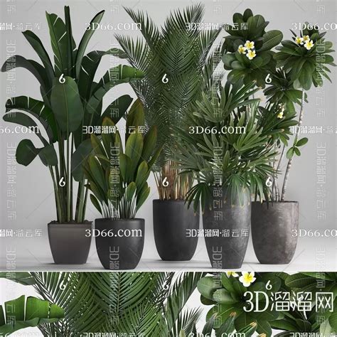 TREE PLANTS 3DS MAX MODELS 283 PRO 3DSKY Decor Helper