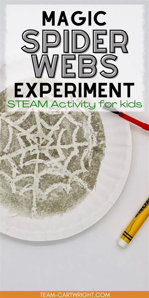 Text Magic Spider Webs Experiment Steam Activity For Kidspicture