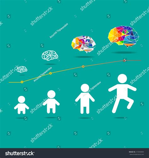 117,014 Brain Development Images, Stock Photos & Vectors | Shutterstock