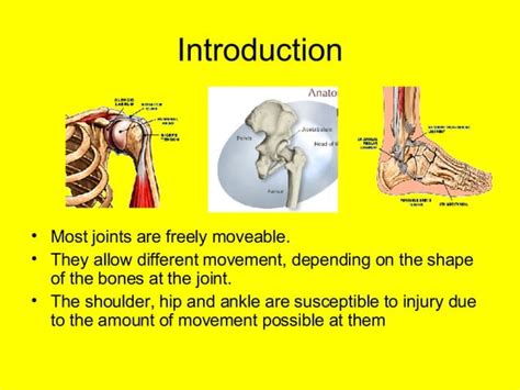 L10b Synovial Joints Ppt Free Download