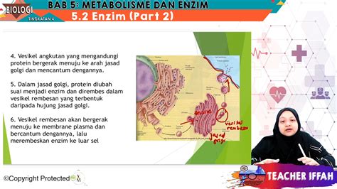 Topik Metabolisme Dan Enzim My E Tuition