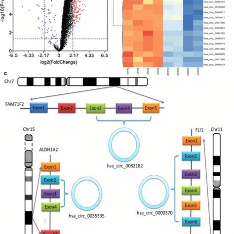 Profiling Of Circrnas In The Plasmas From Gc Patients Crc And Normal