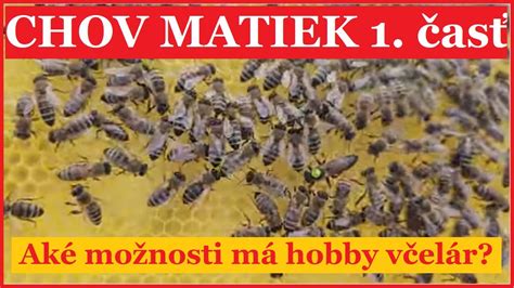 Chov Matiek As V Ber Plemeniva A Vlastnosti V Elstiev Youtube