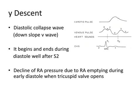 Ppt Jugular Venous Pressure And Waveforms Powerpoint Presentation