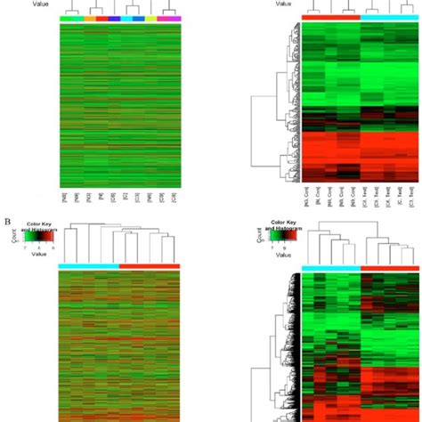 Heatmap Showing The CircRNA And MRNA Expression Profiles Maps On The