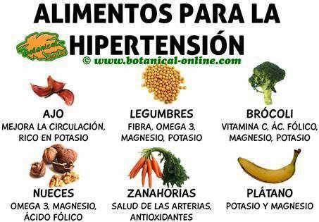 alimentos en la dieta para la hipertensión Recetas para la salud