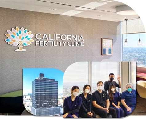 Modern Fertility Clinic In Los Angeles Ca Tree Of Life Center