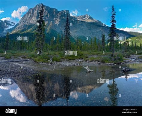 Michael Peak Reflection Emerald Lake Yoho National Park British