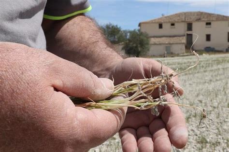 El Gobierno Publica Un Nuevo Listado De Beneficiarios De Ayudas Por La