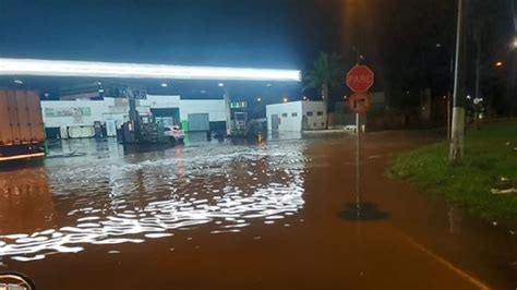 Chuva forte em Rio Claro derruba árvore alaga ruas e casas e afeta