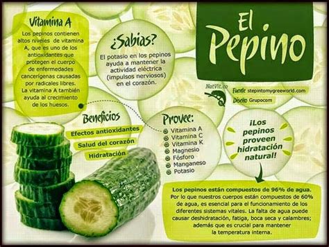 Conoce el pepino Beneficios del pepino Nutrición Salud y nutricion