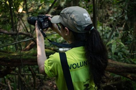 ICMBio Parque Nacional De Ubajara Galeria De Imagens Programa