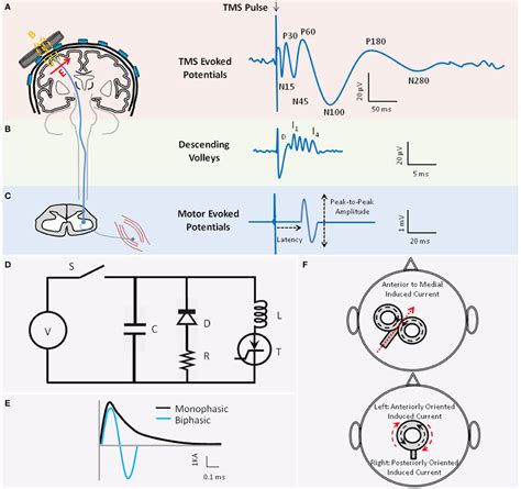 Frontiers Characterizing And Modulating Brain Circuitry Through