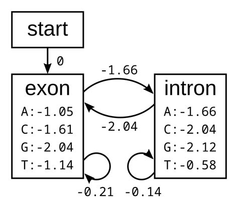 Backward algorithm - Species and Gene Evolution