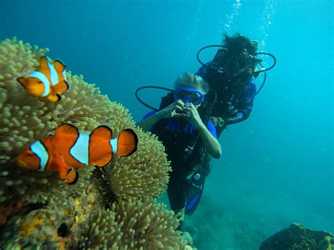 Scuba Lov.in (2026) - All You SHOULD Know Before Going (with Reviews)