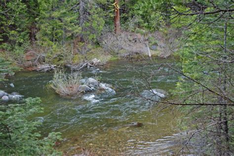 South Fork Stanislaus River Fishing