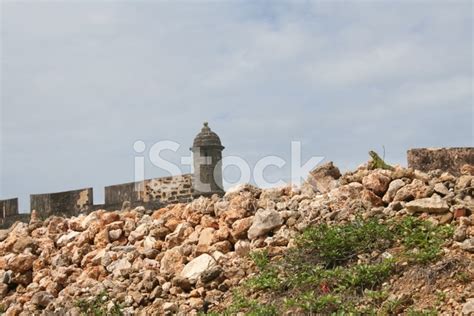 Castillo San Cristobal With Iguana Stock Photo | Royalty-Free | FreeImages