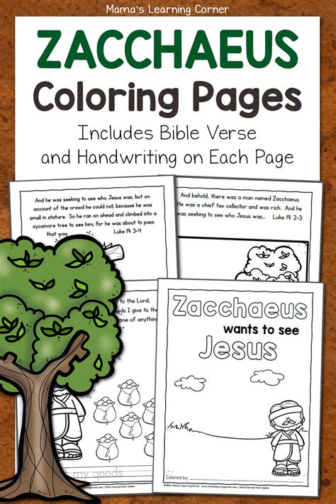 The Bible Story of Zacchaeus Coloring Page Packet - Mamas Learning Corner