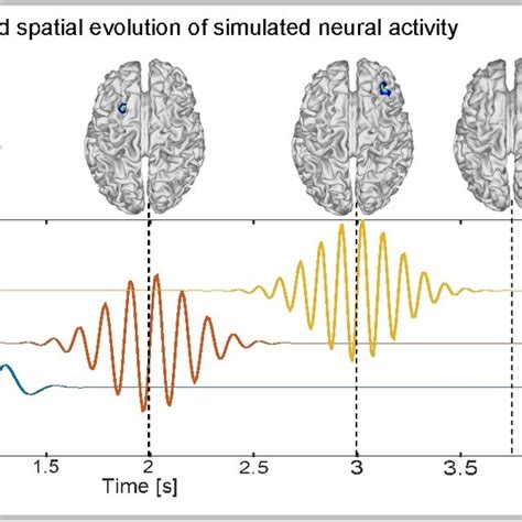 A Temporal And Spatial Evolution Of Simulated Neural Activity An Its