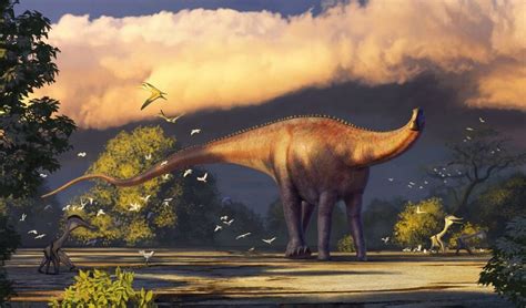 First rebbachisaurid dinosaur remains found in Asia