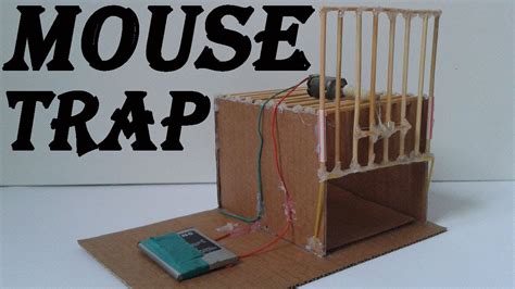 How To Make A Mouse Rat Trap Youtube