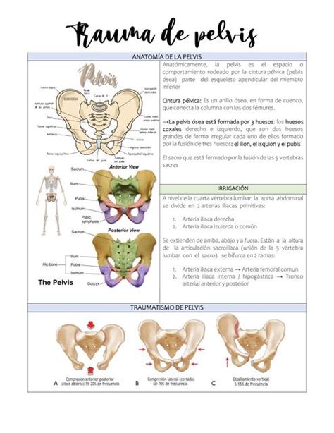 Trauma De Pelvis Brigitte Romero UDocz