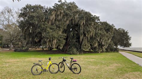 Bikes, Boots, & Boats: Biking the Tammany Trace Trail, Louisiana