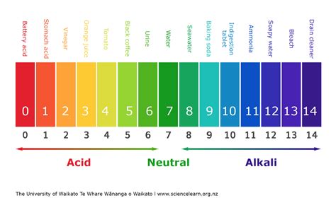 PH Scale Learning Science Soil Ph Hydroponic Solution